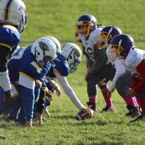 Meet your Posher, Dexter